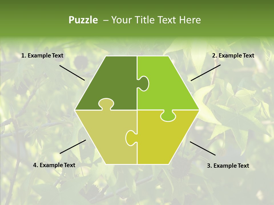 Leaves Bloom Spring Leaves PowerPoint Template