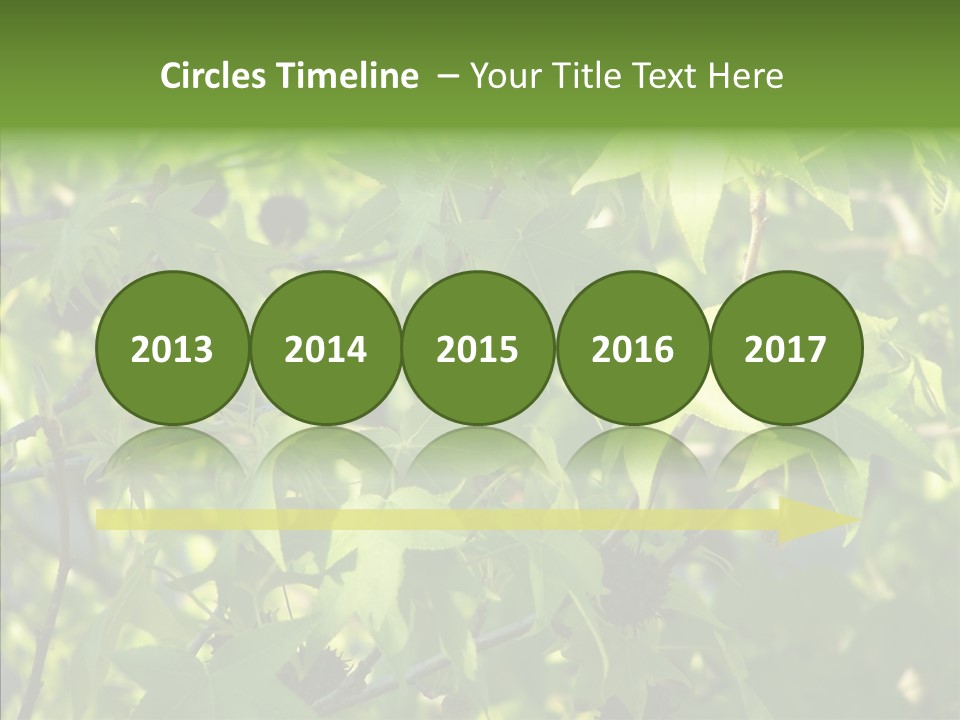 Leaves Bloom Spring Leaves PowerPoint Template