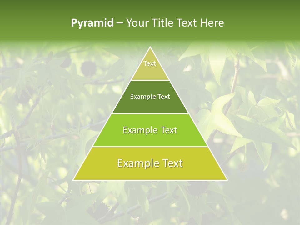 Leaves Bloom Spring Leaves PowerPoint Template