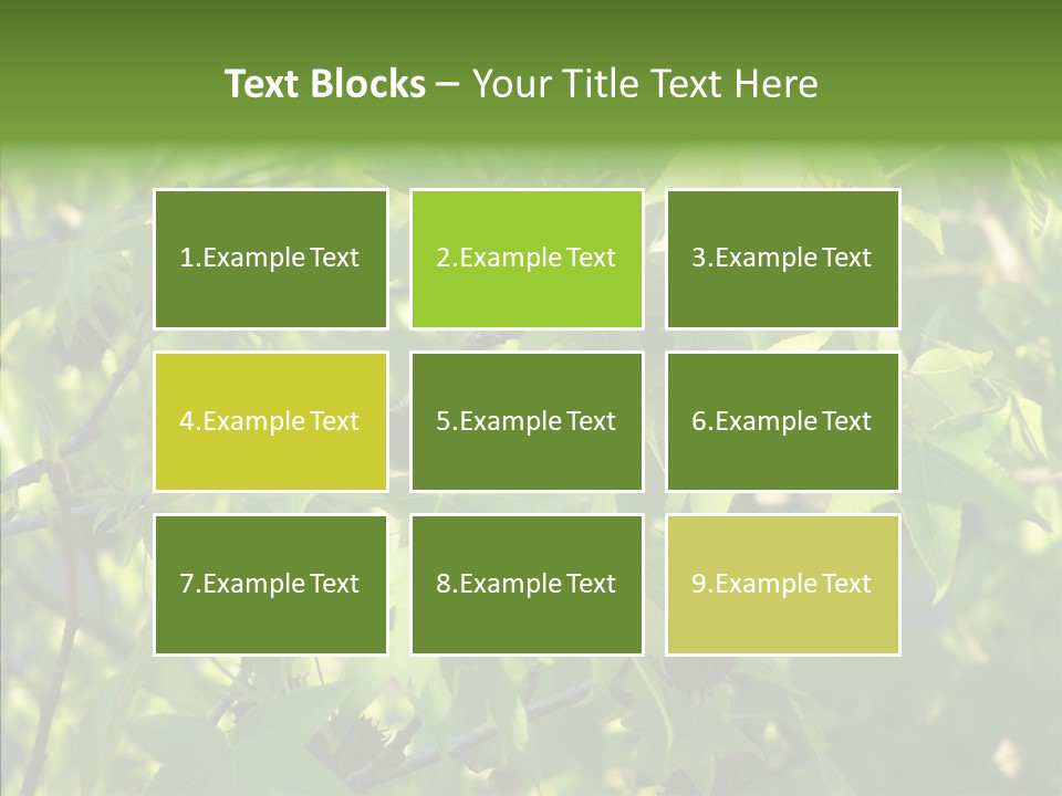 Leaves Bloom Spring Leaves PowerPoint Template