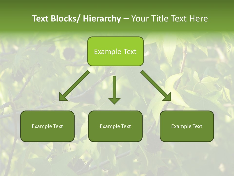 Leaves Bloom Spring Leaves PowerPoint Template