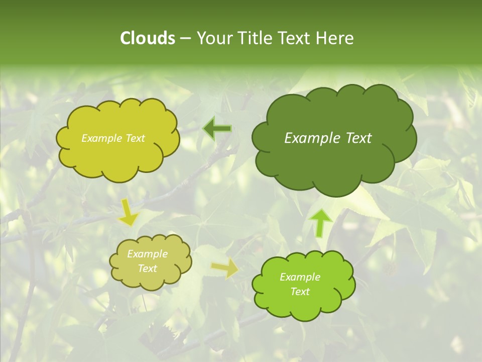 Leaves Bloom Spring Leaves PowerPoint Template