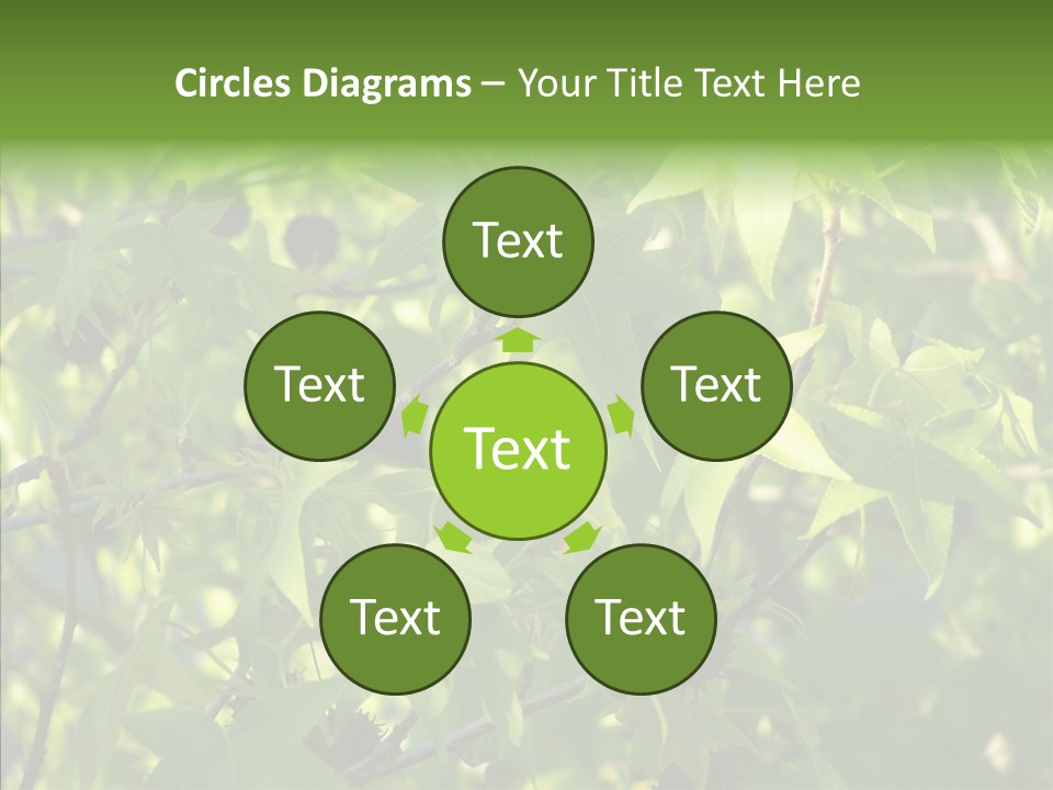 Leaves Bloom Spring Leaves PowerPoint Template