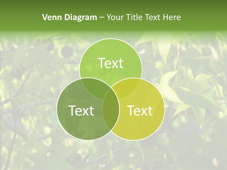 Leaves Bloom Spring Leaves PowerPoint Template