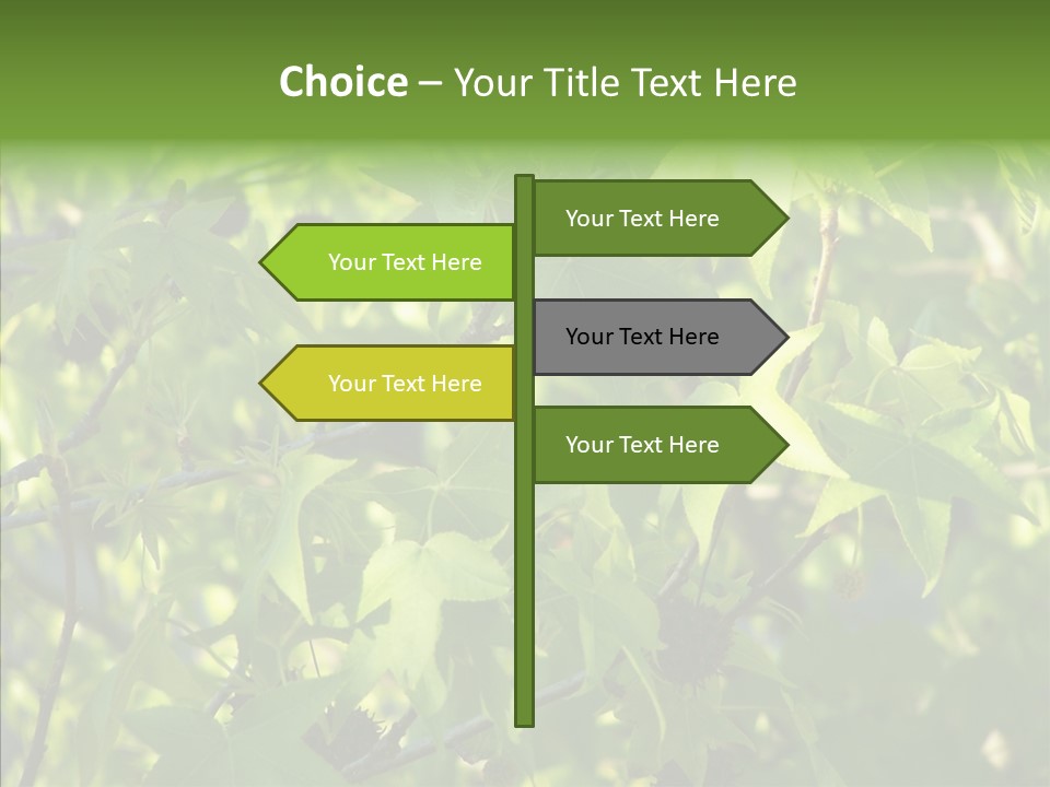 Leaves Bloom Spring Leaves PowerPoint Template