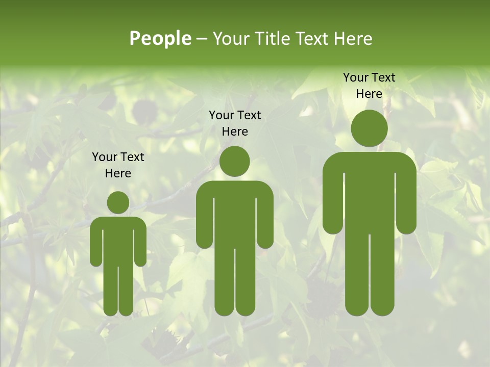 Leaves Bloom Spring Leaves PowerPoint Template