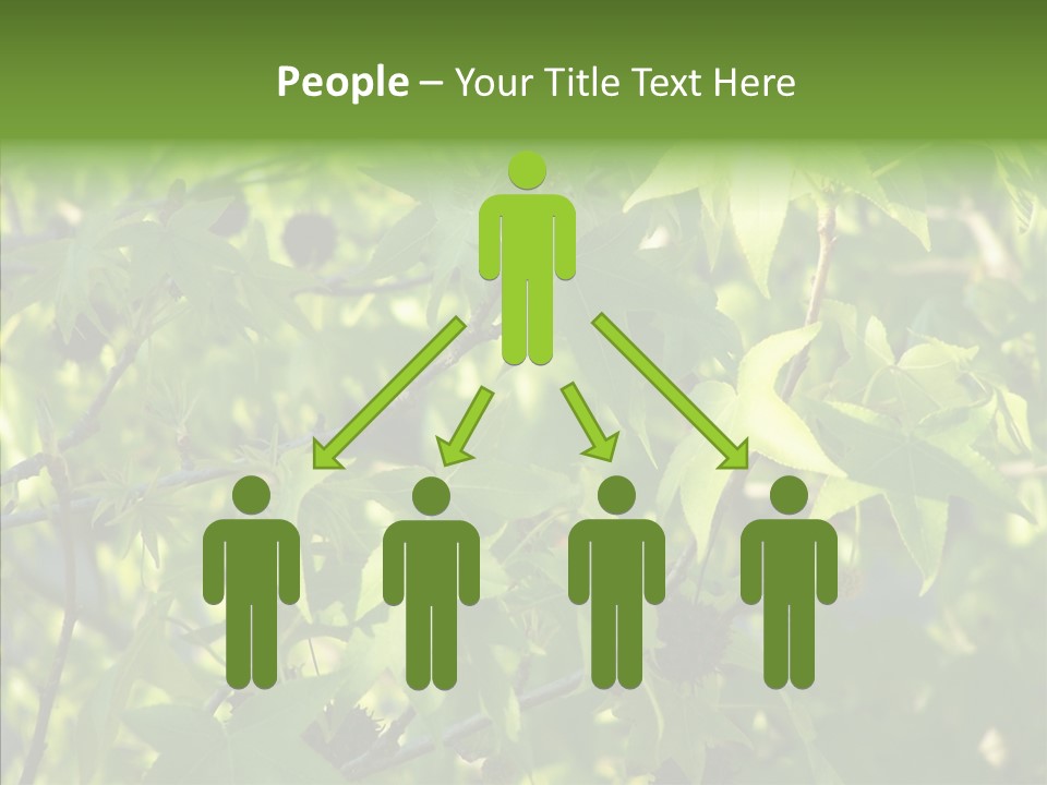 Leaves Bloom Spring Leaves PowerPoint Template