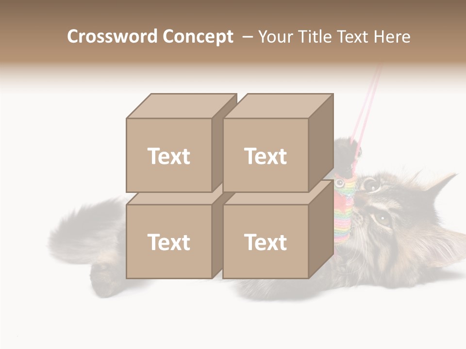 Isolated Mouse Grey PowerPoint Template