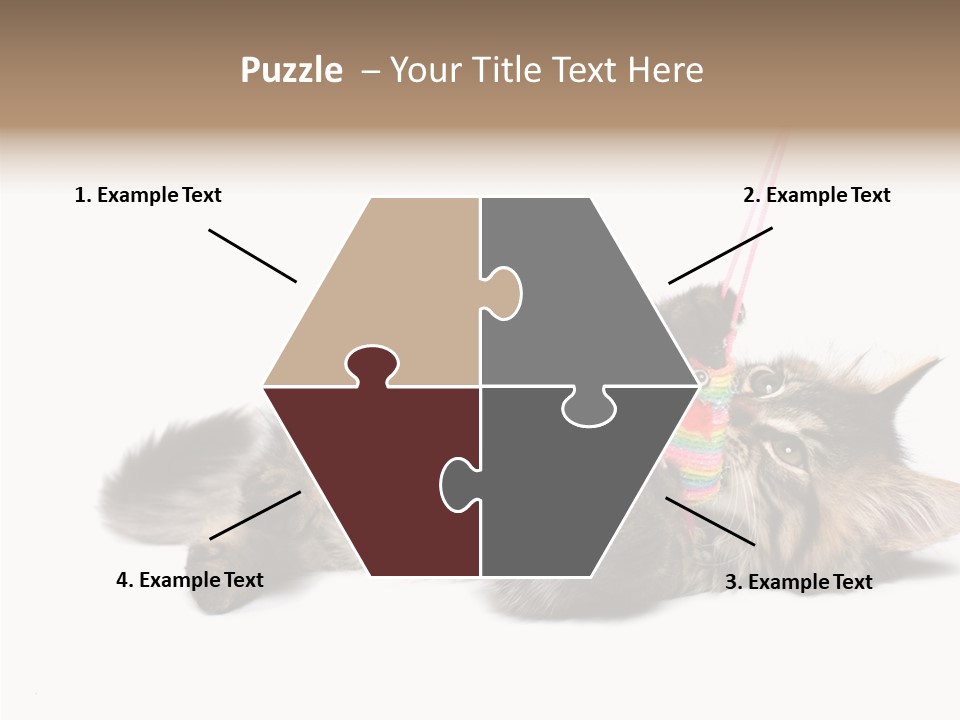 Isolated Mouse Grey PowerPoint Template