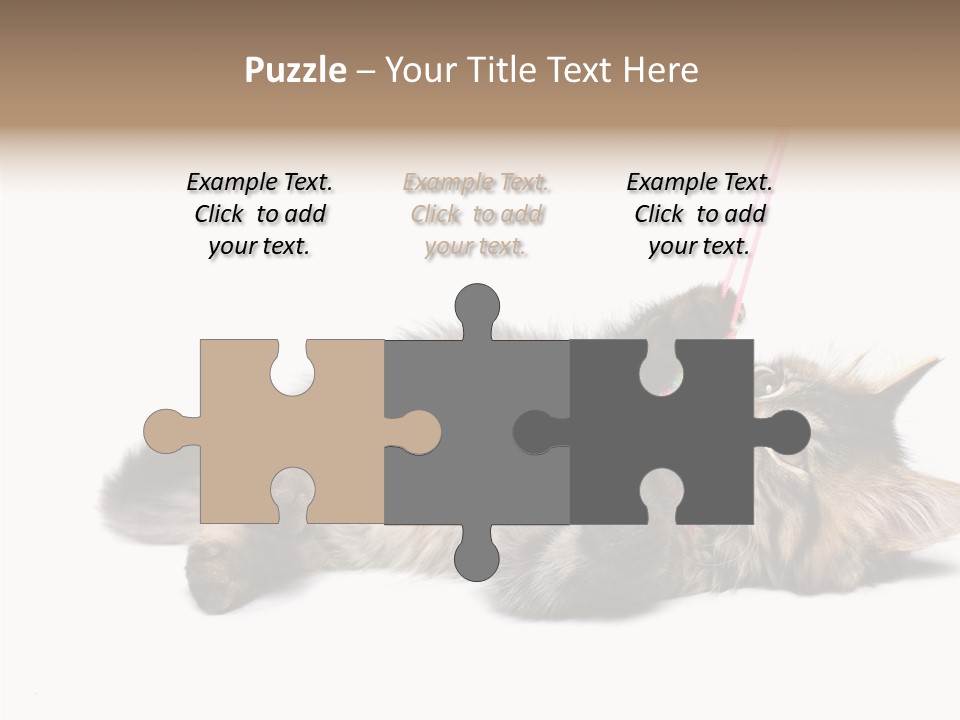 Isolated Mouse Grey PowerPoint Template