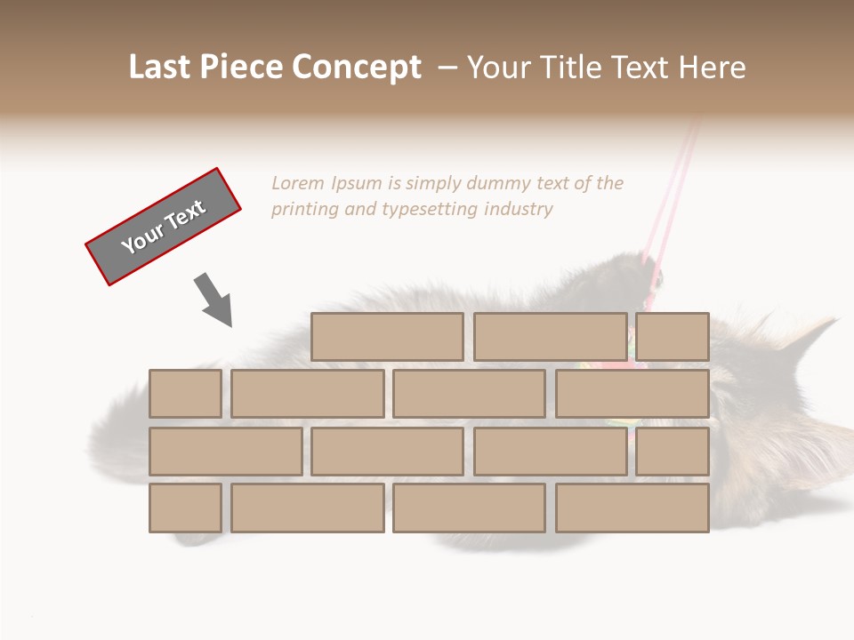 Isolated Mouse Grey PowerPoint Template