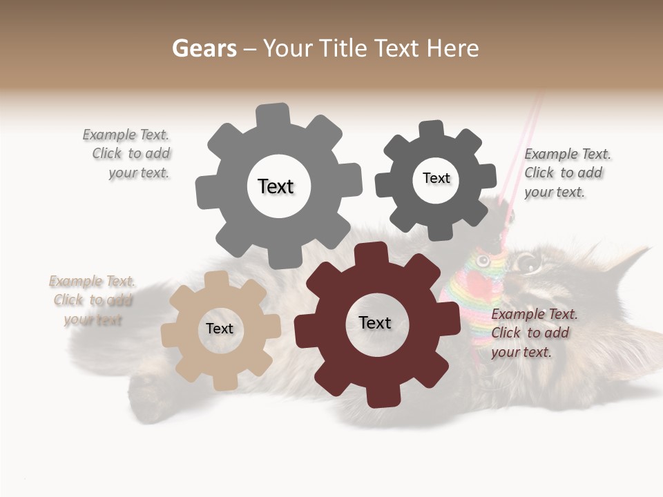 Isolated Mouse Grey PowerPoint Template