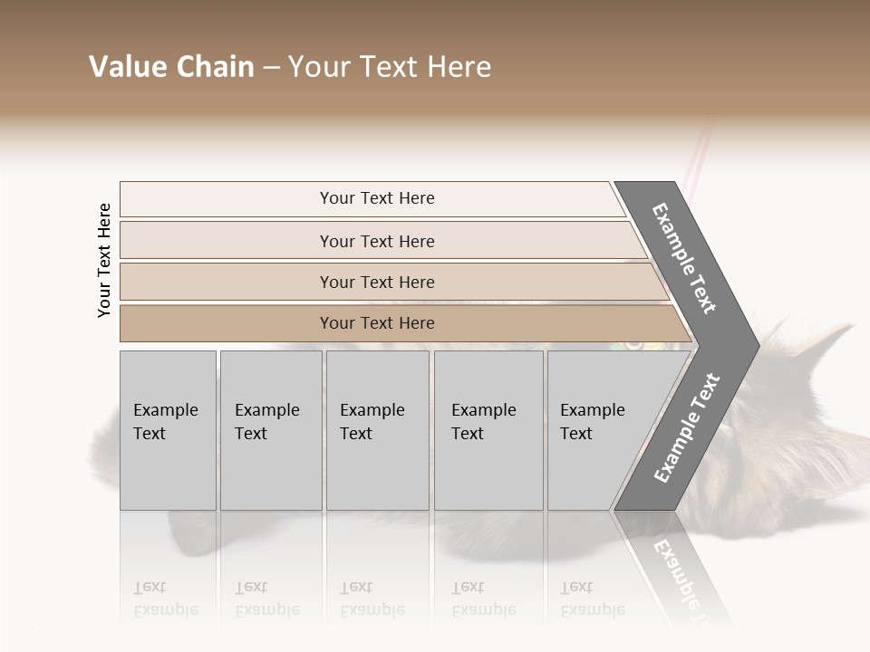 Isolated Mouse Grey PowerPoint Template