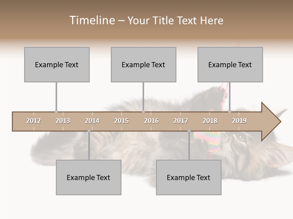 Isolated Mouse Grey PowerPoint Template