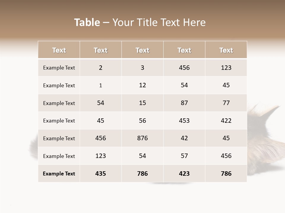 Isolated Mouse Grey PowerPoint Template