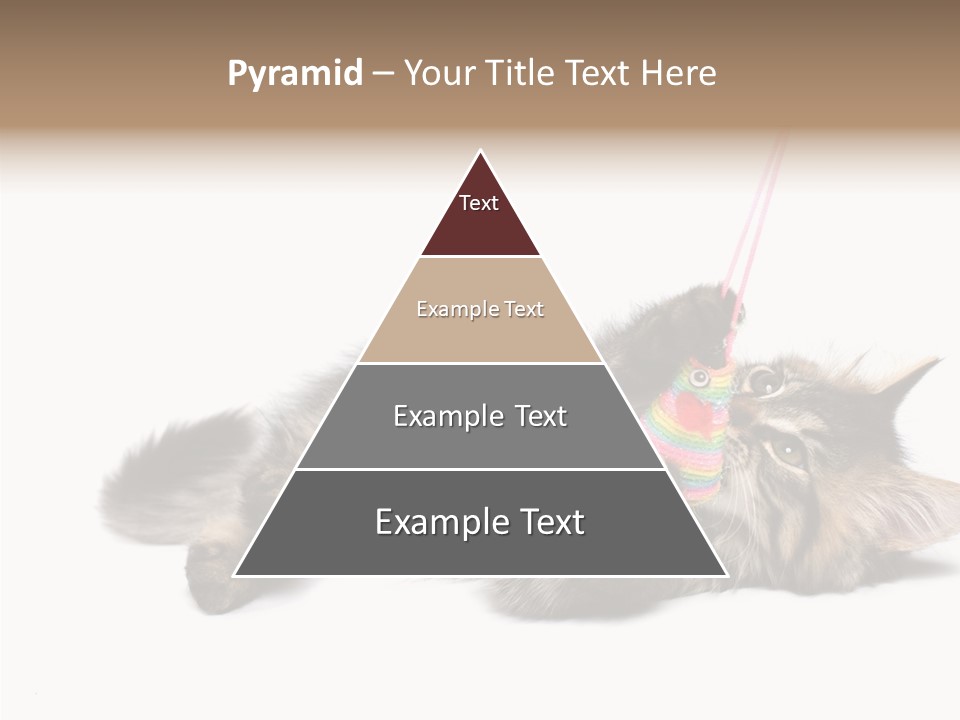 Isolated Mouse Grey PowerPoint Template