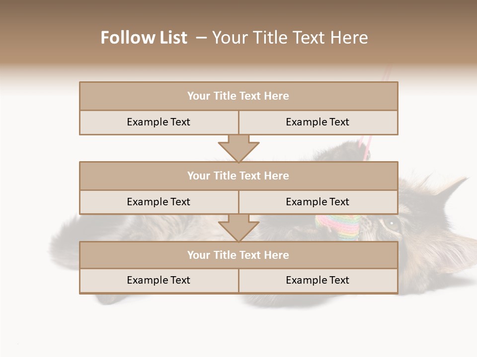 Isolated Mouse Grey PowerPoint Template