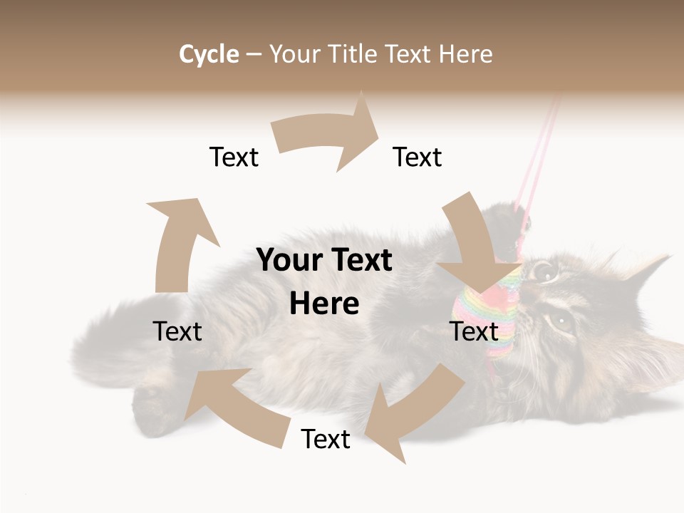 Isolated Mouse Grey PowerPoint Template