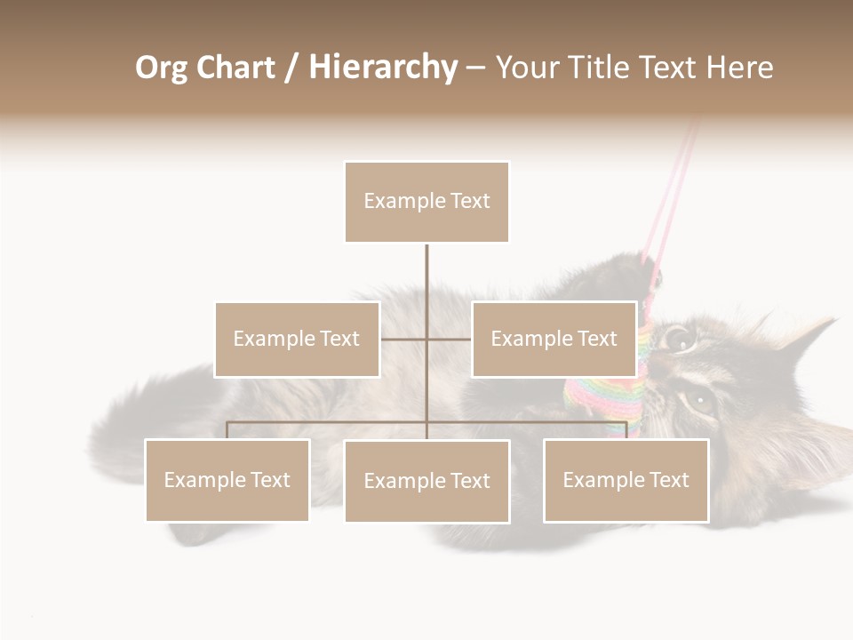 Isolated Mouse Grey PowerPoint Template