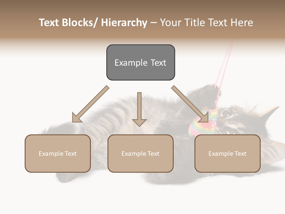 Isolated Mouse Grey PowerPoint Template