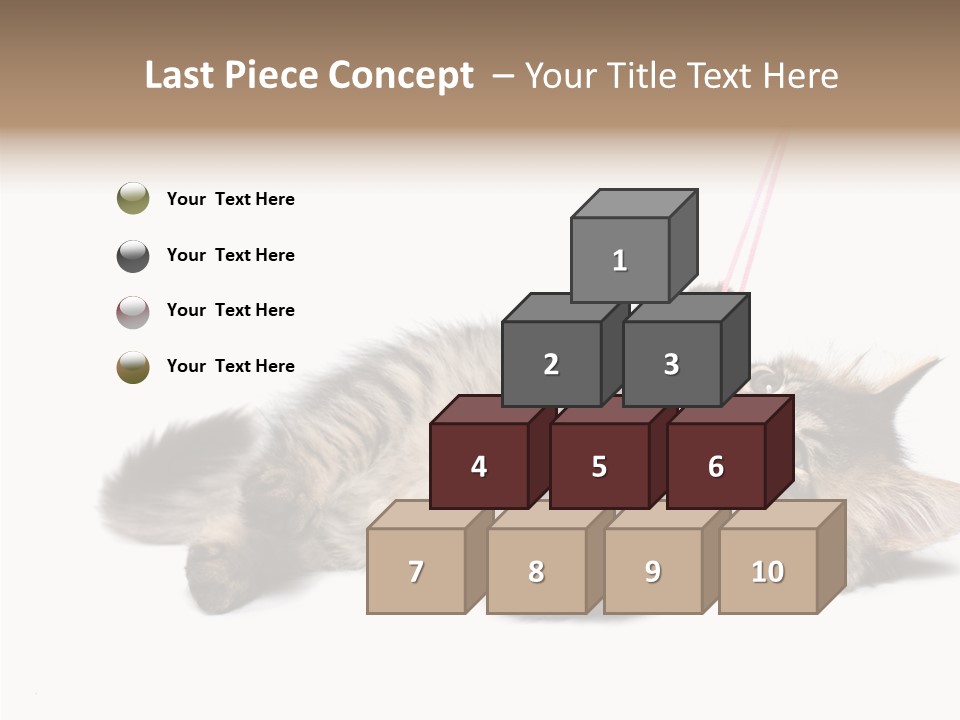 Isolated Mouse Grey PowerPoint Template