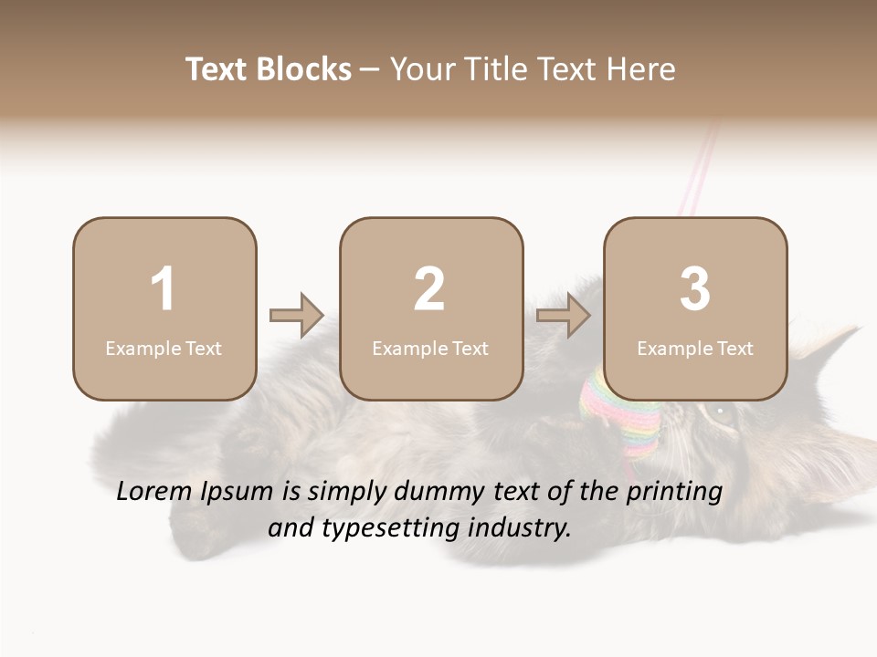 Isolated Mouse Grey PowerPoint Template