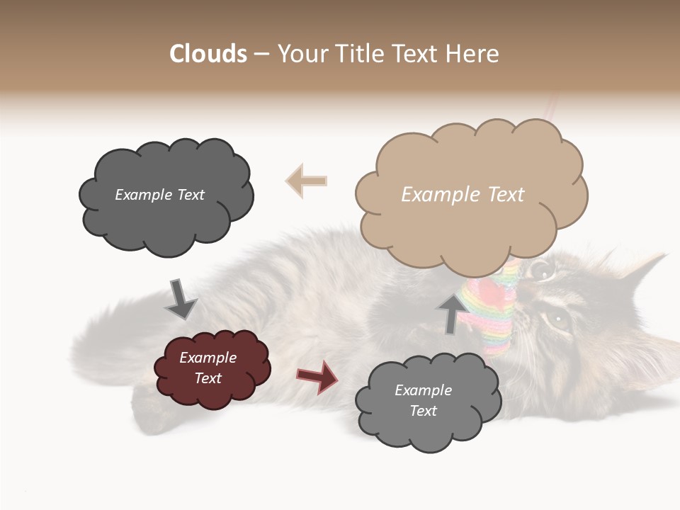 Isolated Mouse Grey PowerPoint Template