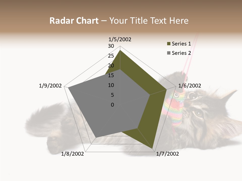 Isolated Mouse Grey PowerPoint Template