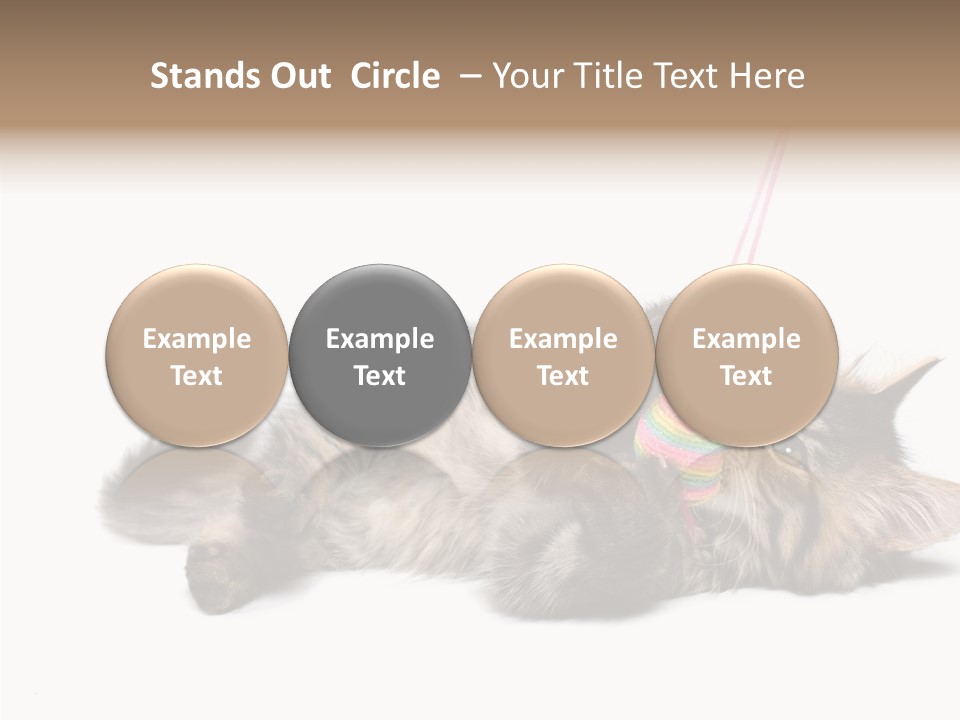 Isolated Mouse Grey PowerPoint Template