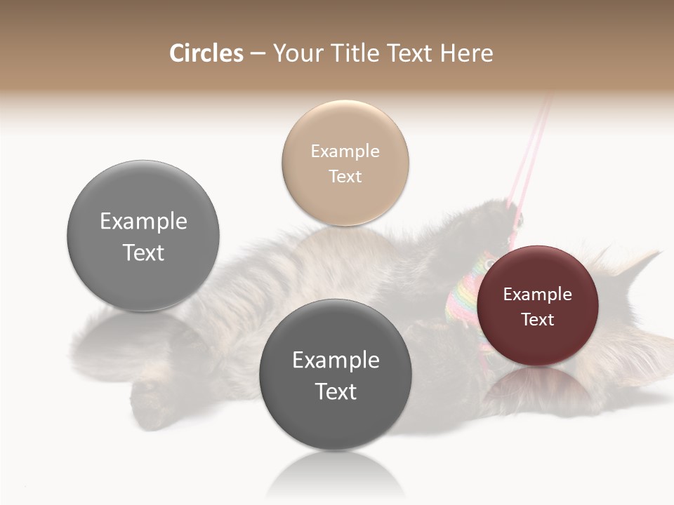 Isolated Mouse Grey PowerPoint Template