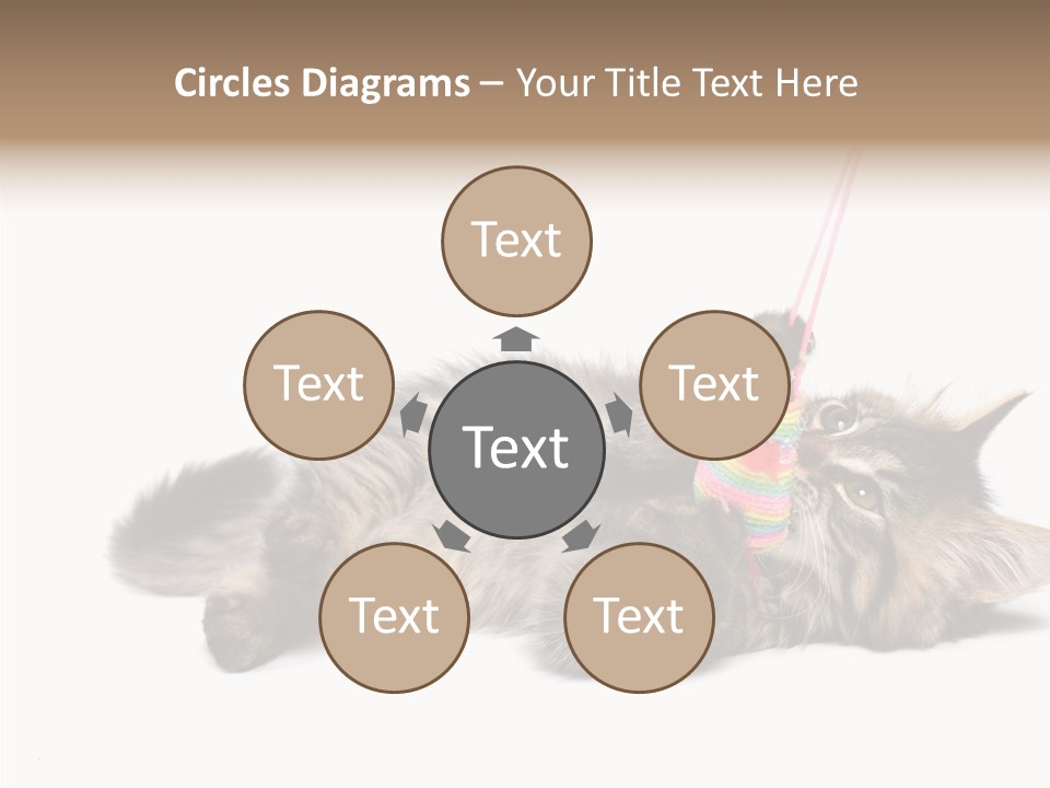 Isolated Mouse Grey PowerPoint Template