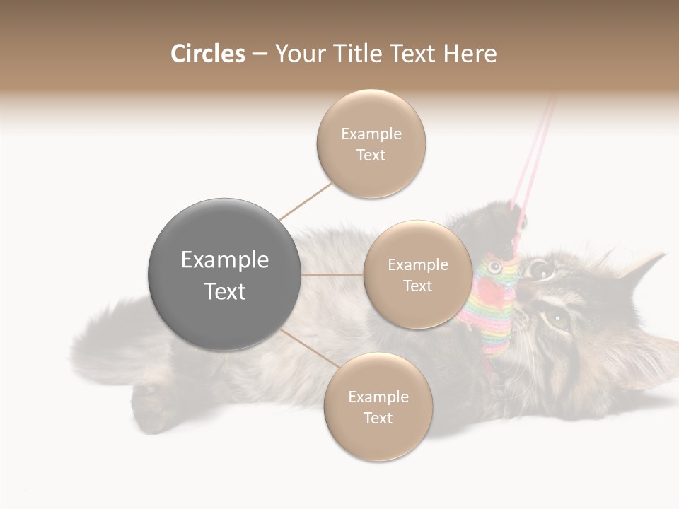 Isolated Mouse Grey PowerPoint Template