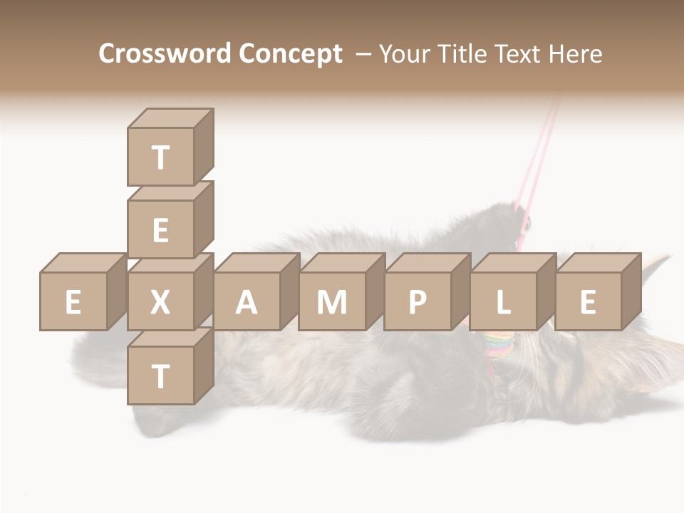 Isolated Mouse Grey PowerPoint Template