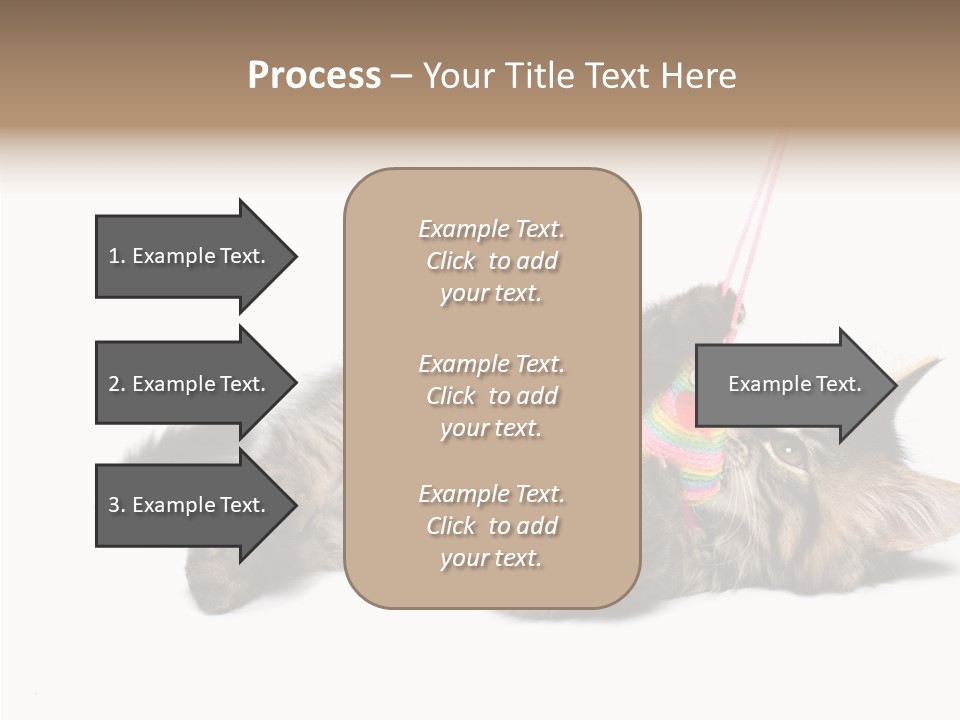 Isolated Mouse Grey PowerPoint Template