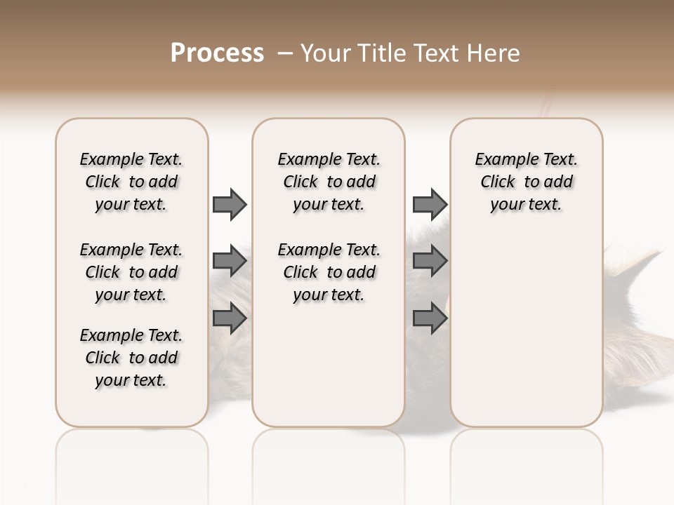 Isolated Mouse Grey PowerPoint Template