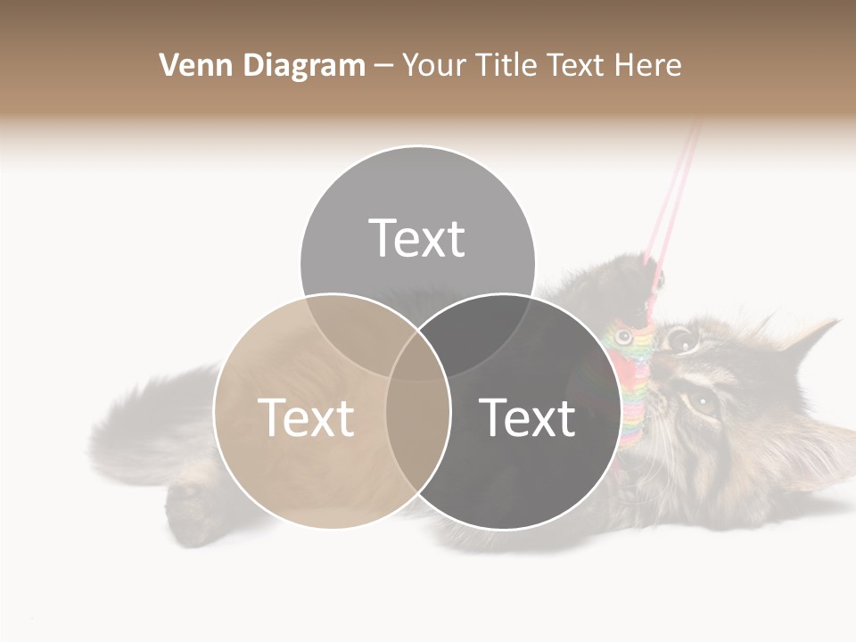 Isolated Mouse Grey PowerPoint Template