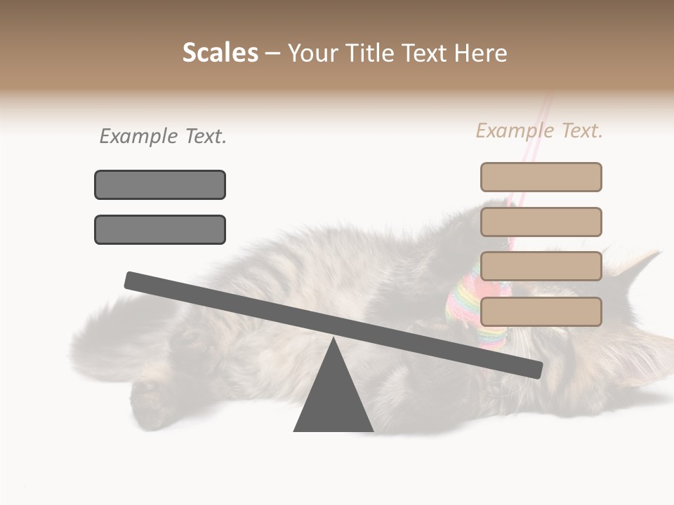 Isolated Mouse Grey PowerPoint Template