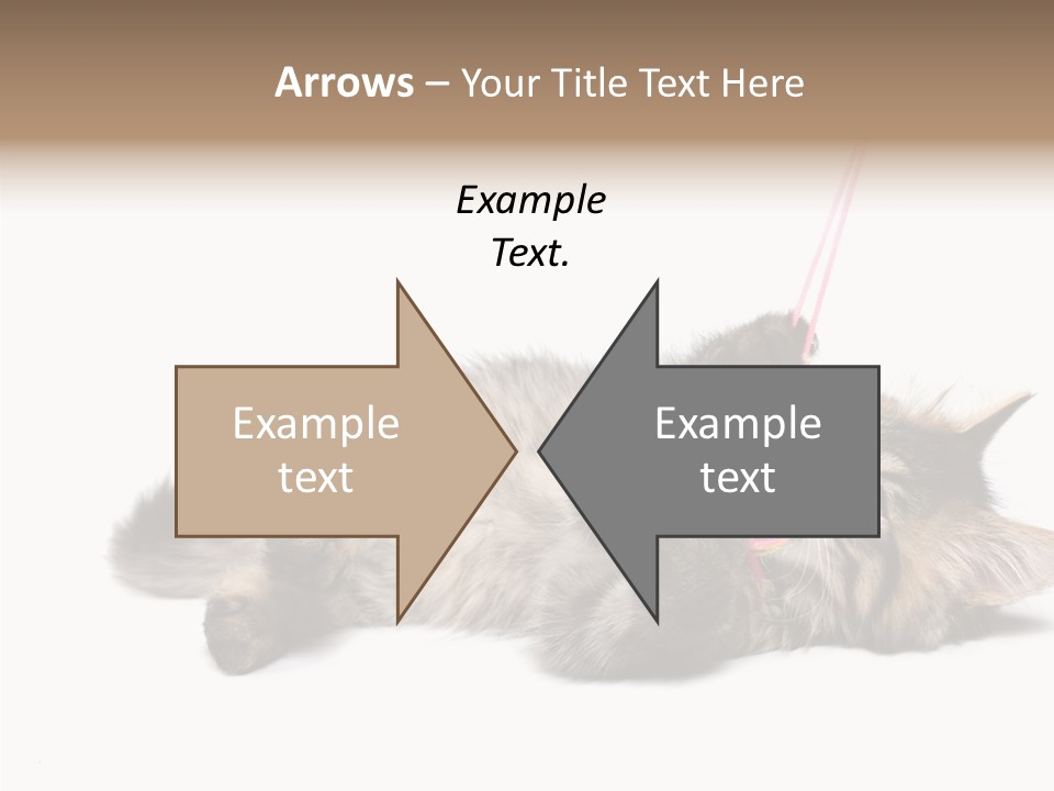 Isolated Mouse Grey PowerPoint Template