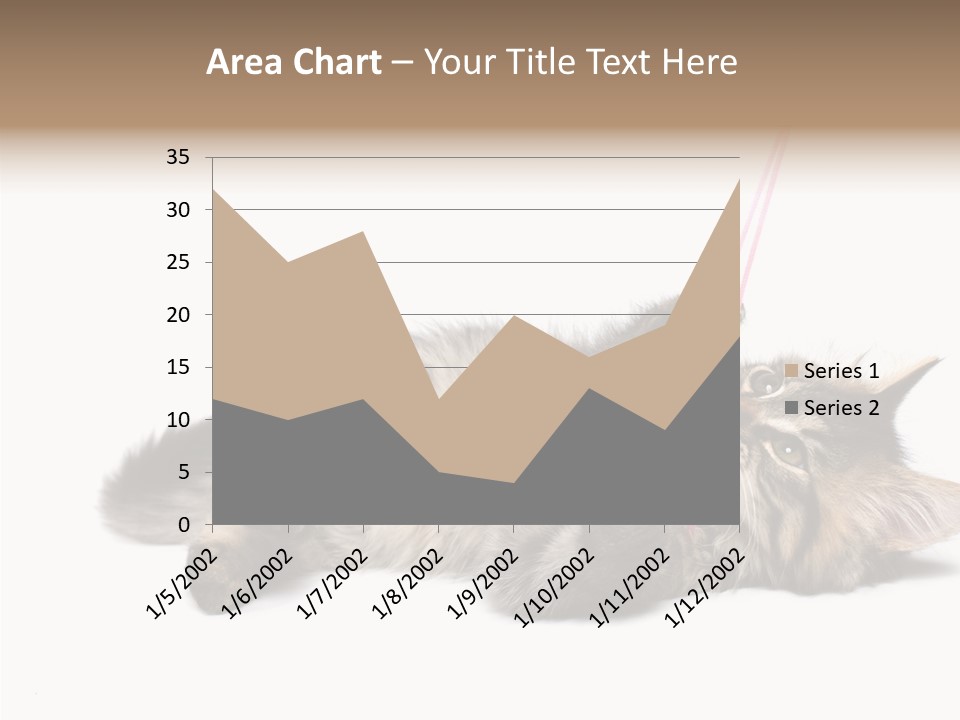 Isolated Mouse Grey PowerPoint Template