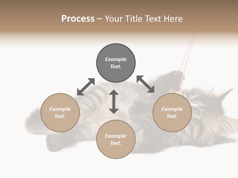 Isolated Mouse Grey PowerPoint Template