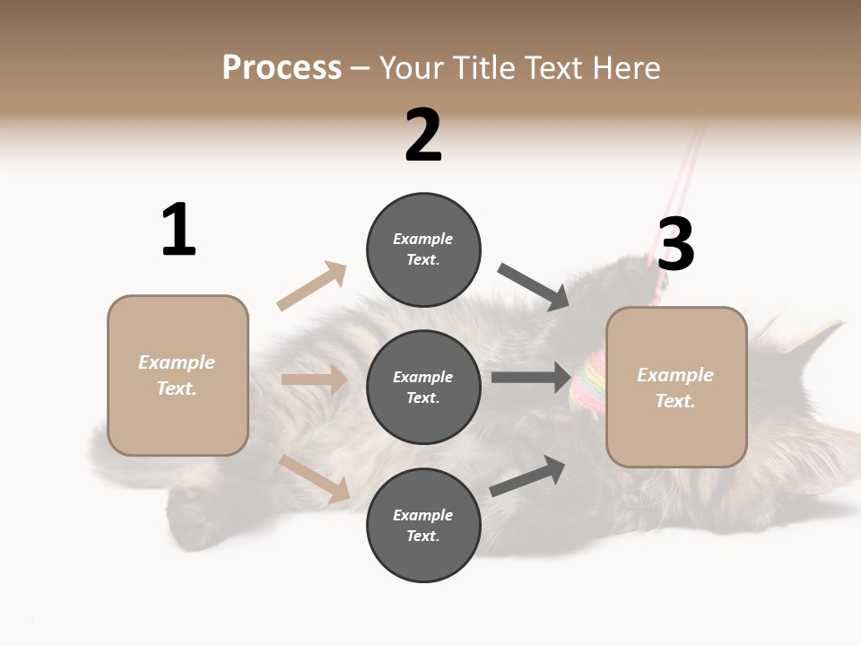 Isolated Mouse Grey PowerPoint Template