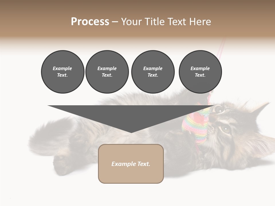 Isolated Mouse Grey PowerPoint Template