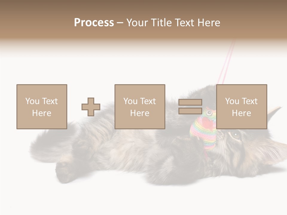 Isolated Mouse Grey PowerPoint Template
