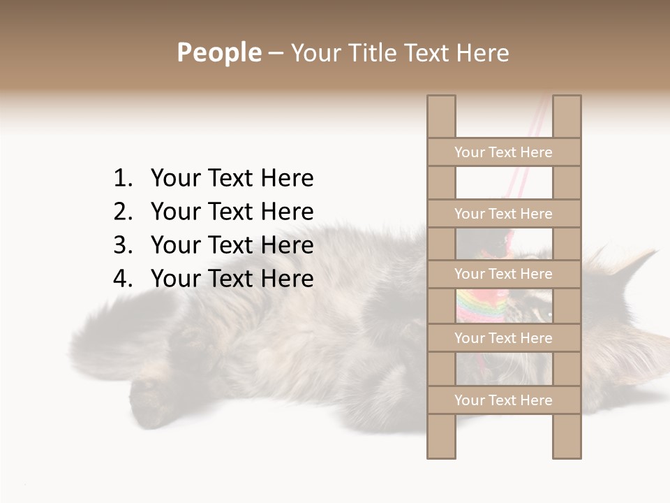 Isolated Mouse Grey PowerPoint Template