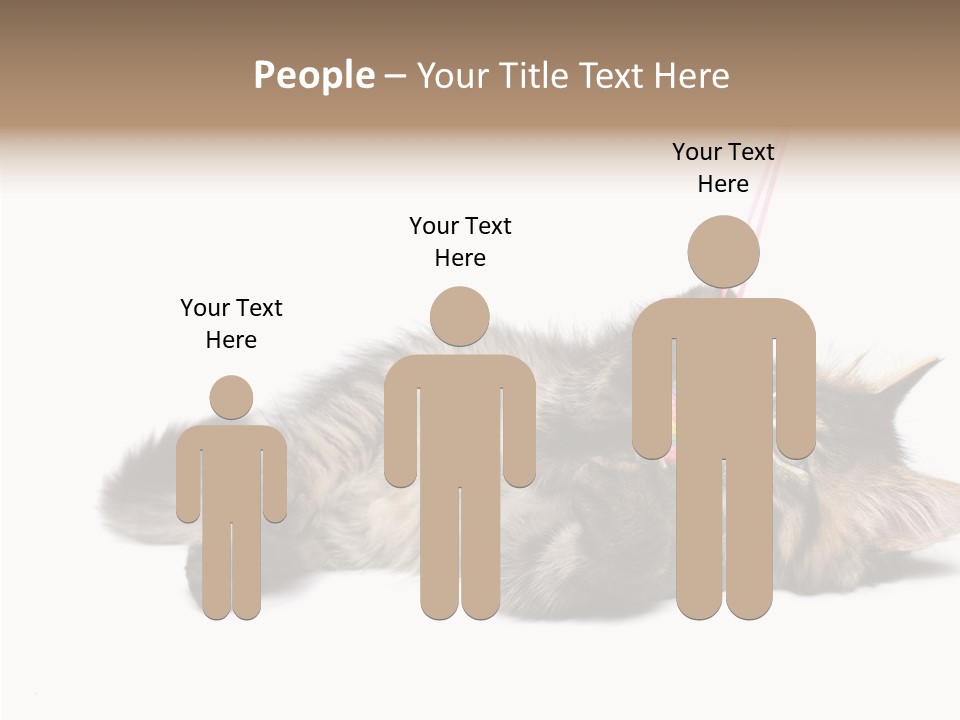 Isolated Mouse Grey PowerPoint Template