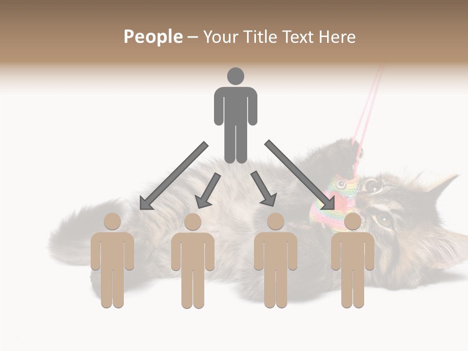 Isolated Mouse Grey PowerPoint Template