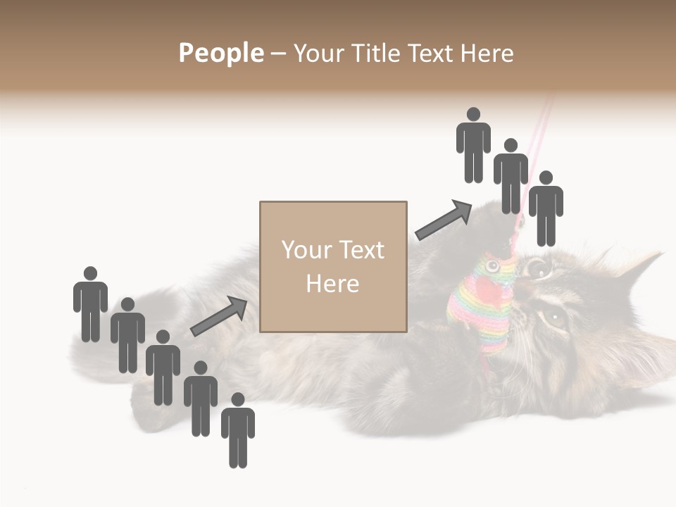 Isolated Mouse Grey PowerPoint Template