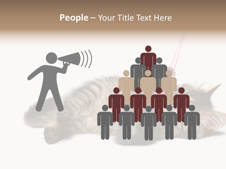 Isolated Mouse Grey PowerPoint Template