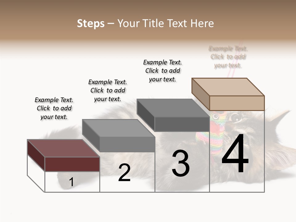 Isolated Mouse Grey PowerPoint Template
