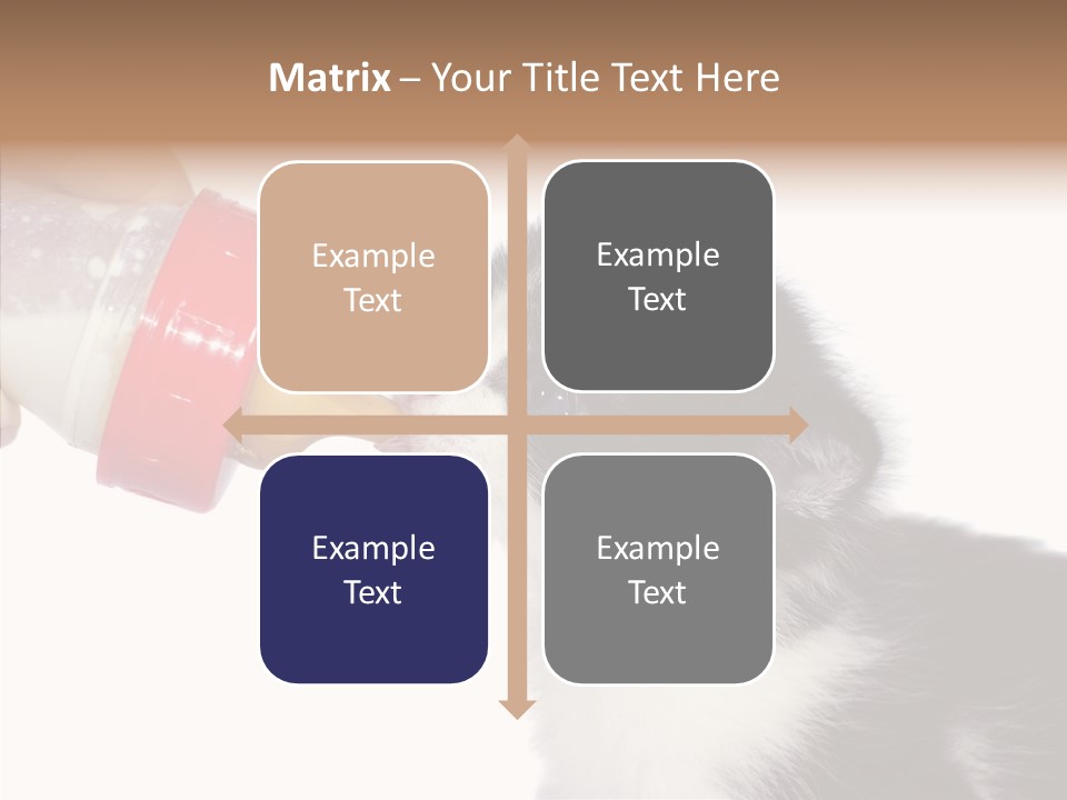 Food Milk Closeup PowerPoint Template